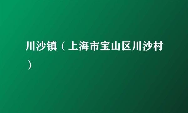 川沙镇(上海市宝山区川沙村)
