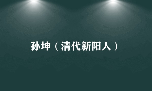 孙坤(清代新阳人)