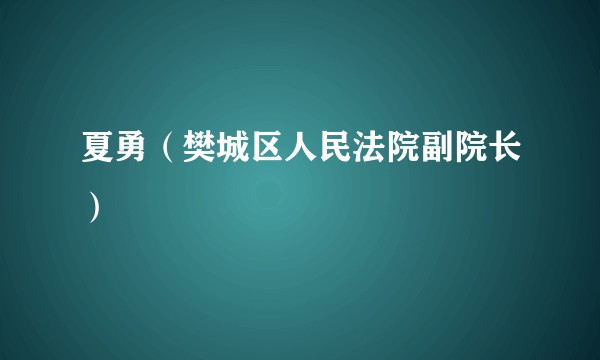 夏勇（樊城区人民法院副院长）
