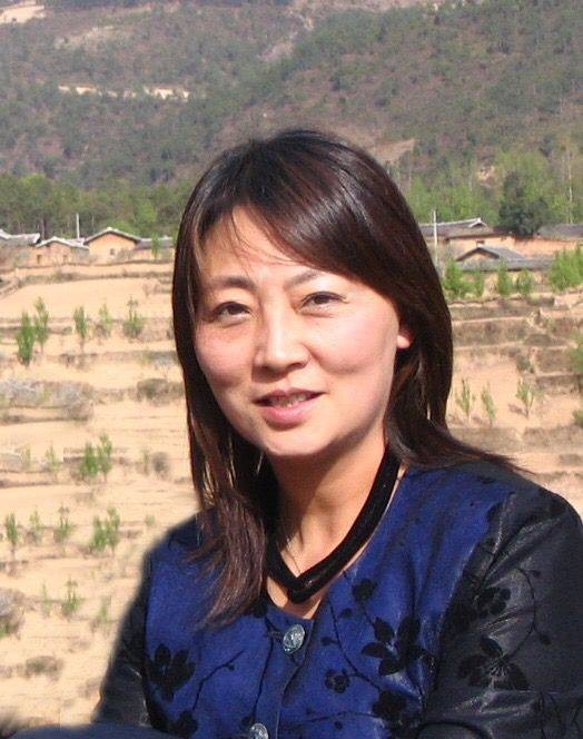 苏宁(哲学博士)