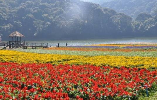 福建三元国家森林公园