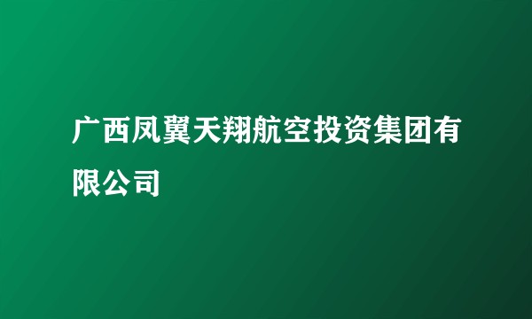 广西凤翼天翔航空投资集团有限公司