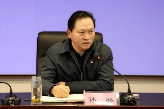 孙林(贵阳市公共交通有限公司党委委员、书记、董事)