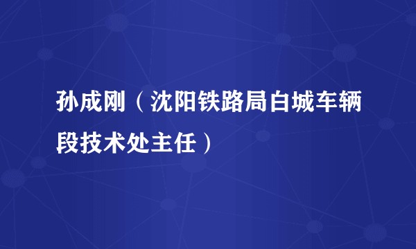 孙成刚（沈阳铁路局白城车辆段技术处主任）
