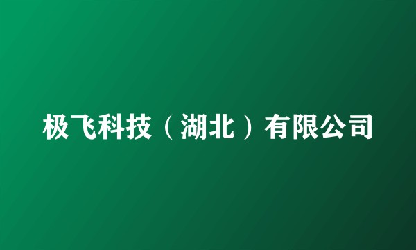 极飞科技（湖北）有限公司