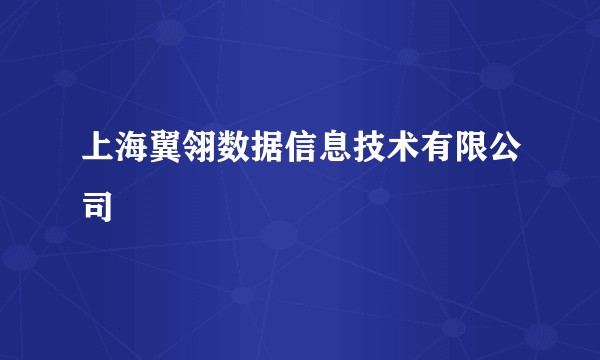 上海翼翎数据信息技术有限公司