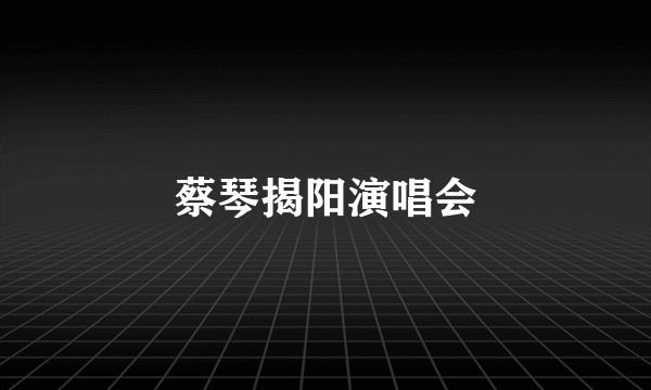 蔡琴揭阳演唱会