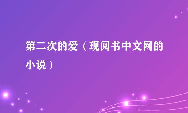 第二次的爱（现阅书中文网的小说）