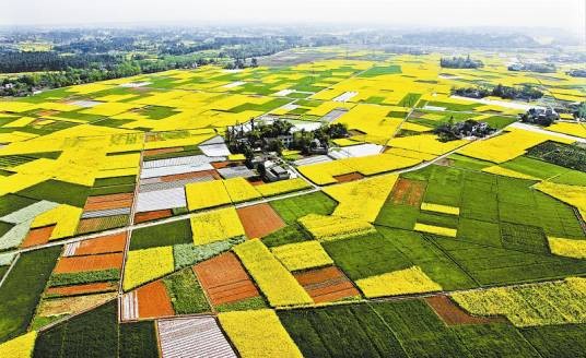 五峰村(四川成都新津区普星镇下辖村)