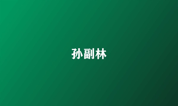 孙副林