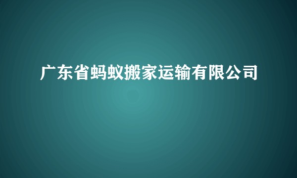 广东省蚂蚁搬家运输有限公司