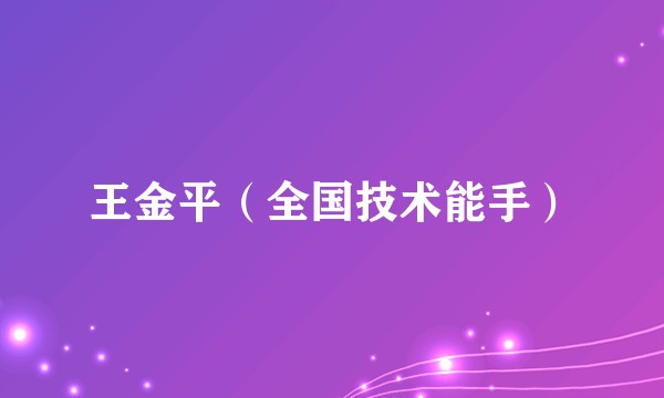 王金平（全国技术能手）