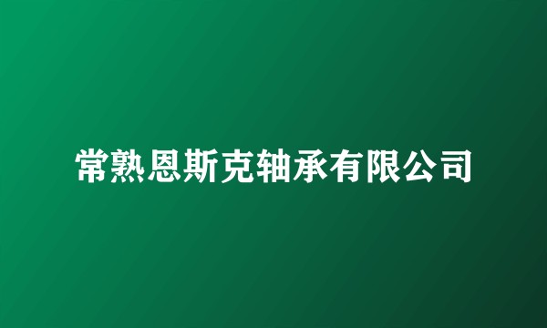 常熟恩斯克轴承有限公司