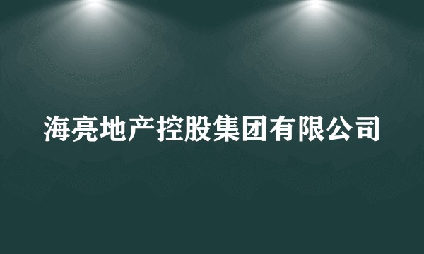 海亮地产控股集团有限公司