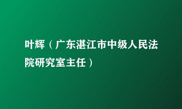 叶辉(广东湛江市中级人民法院研究室主任)