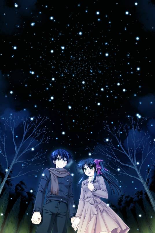 aster(游戏名称)