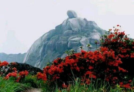 梁野山国家级自然保护区