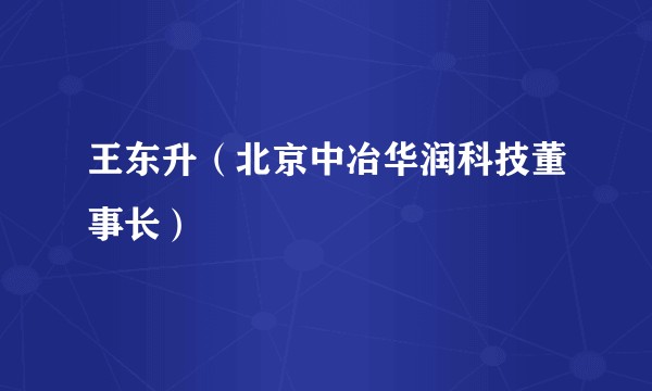 王东升（北京中冶华润科技董事长）