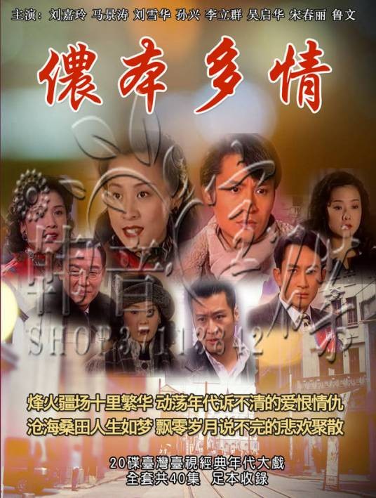 侬本多情（马景涛主演电视剧）