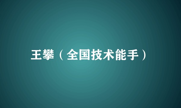 王攀（全国技术能手）
