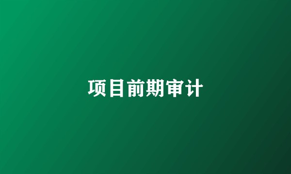 项目前期审计