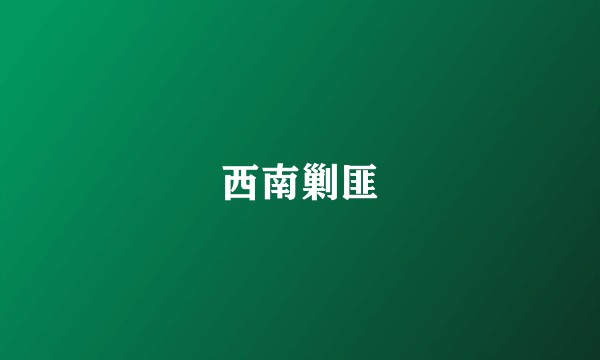 西南剿匪