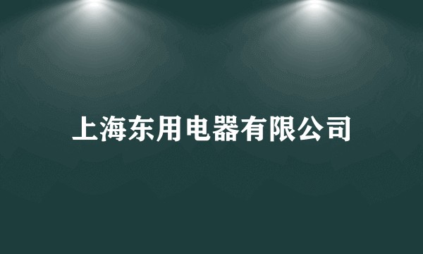 上海东用电器有限公司