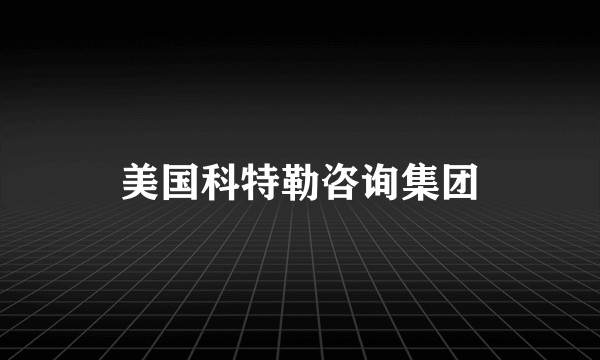 美国科特勒咨询集团