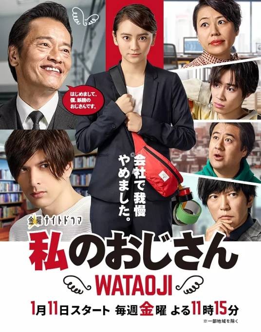 我的大叔(日本2019年冈田结实主演的电视剧)