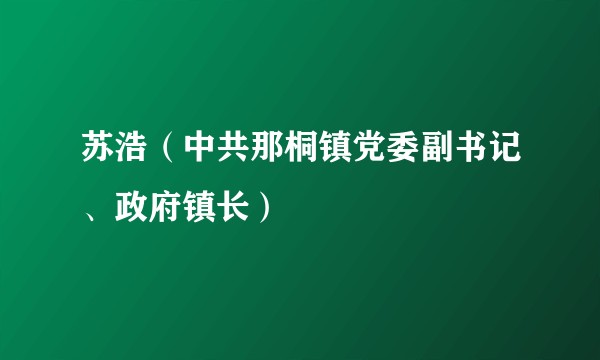 苏浩（中共那桐镇党委副书记、政府镇长）