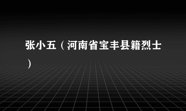 张小五(河南省宝丰县籍烈士)