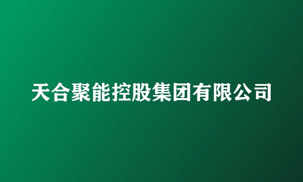 天合聚能控股集团有限公司