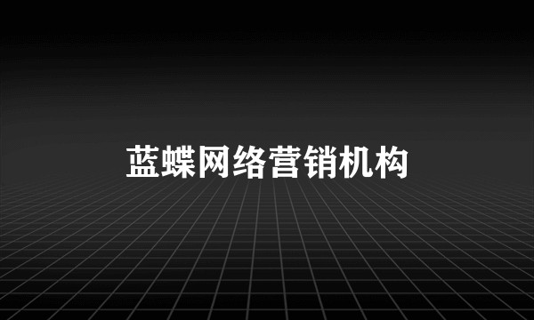 蓝蝶网络营销机构