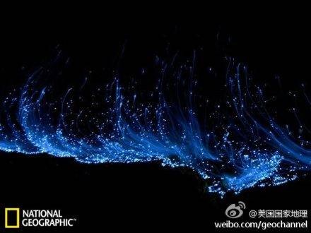 荧光现象