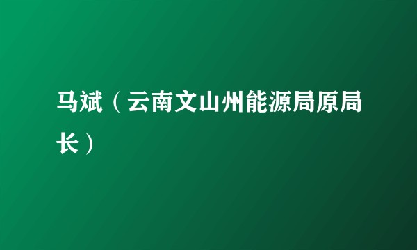 马斌（云南文山州能源局原局长）