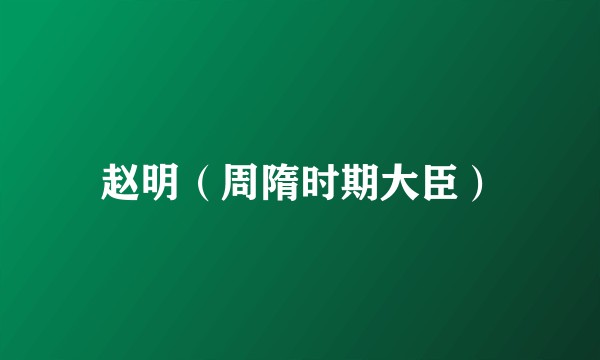 赵明（周隋时期大臣）