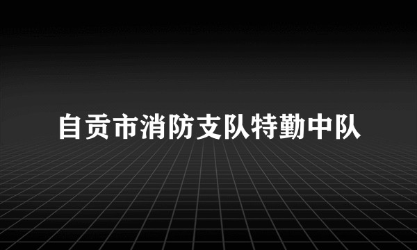 自贡市消防支队特勤中队