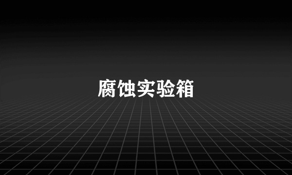腐蚀实验箱