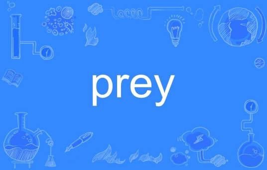 PREY(英语单词)