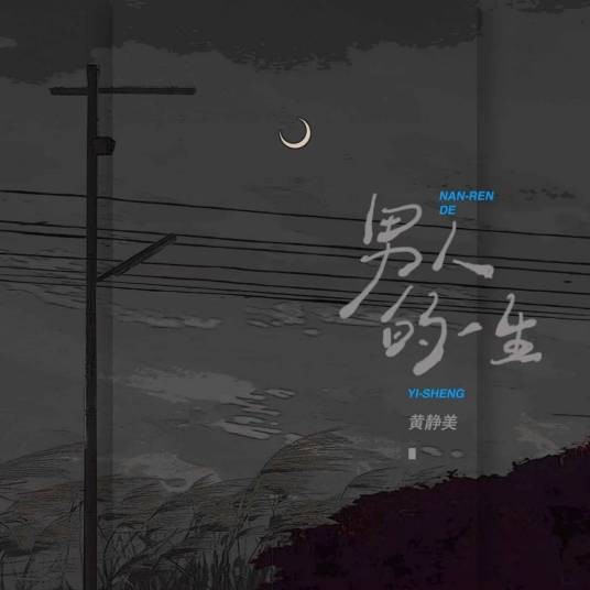 男人的一生（黄静美演唱的歌曲）
