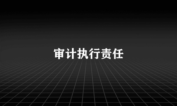 审计执行责任