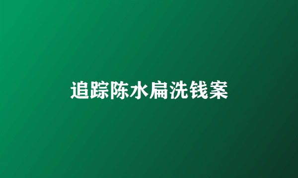 追踪陈水扁洗钱案