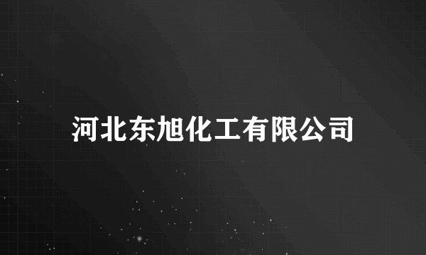 河北东旭化工有限公司