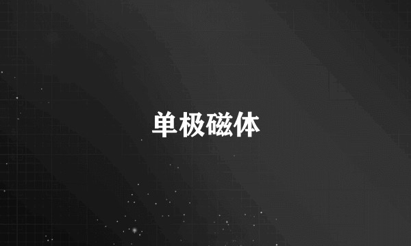 单极磁体