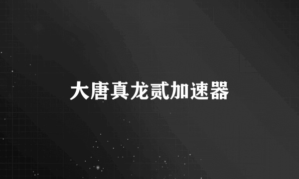 大唐真龙贰加速器