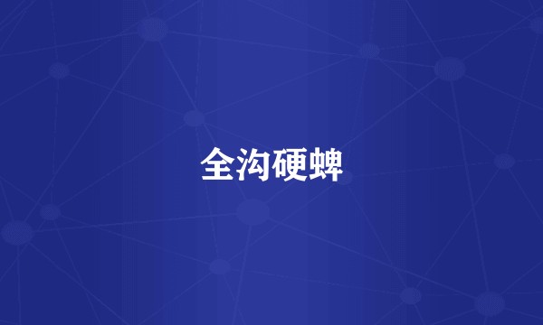 全沟硬蜱