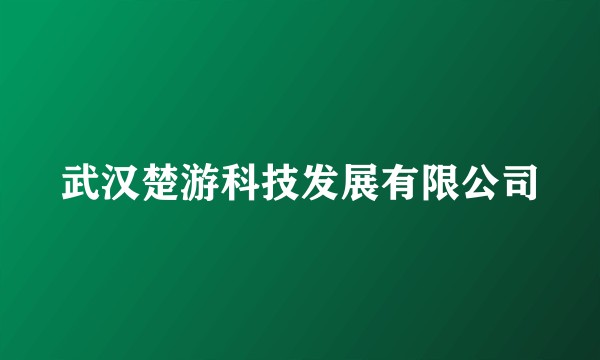武汉楚游科技发展有限公司