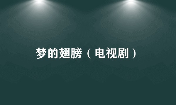 梦的翅膀（电视剧）