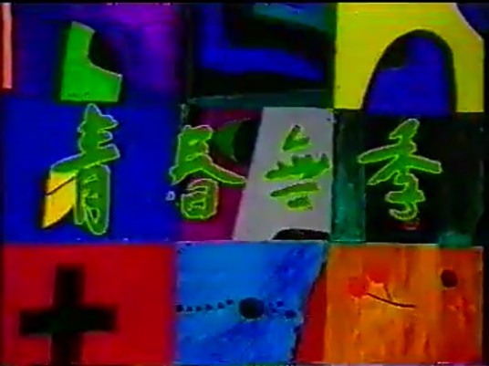 青春无季（1991年张子健主演电视剧）