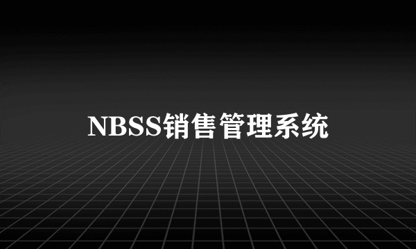NBSS销售管理系统